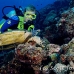 turtle_green_er_h_0705_png1064.jpg